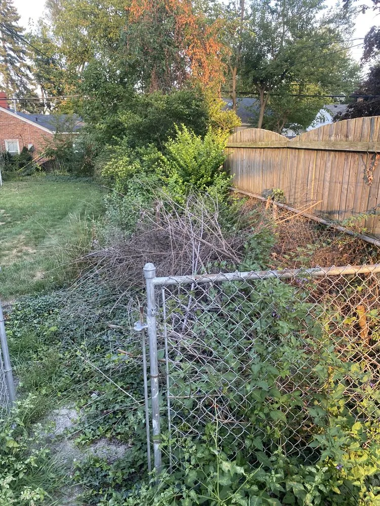 Expert lawn mowing service experts serving Madison Heights, MI - Neffie Services