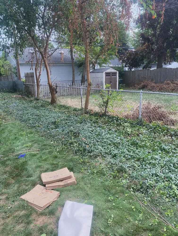 Affordable residential landscaping in Madison Heights, MI by Neffie Services