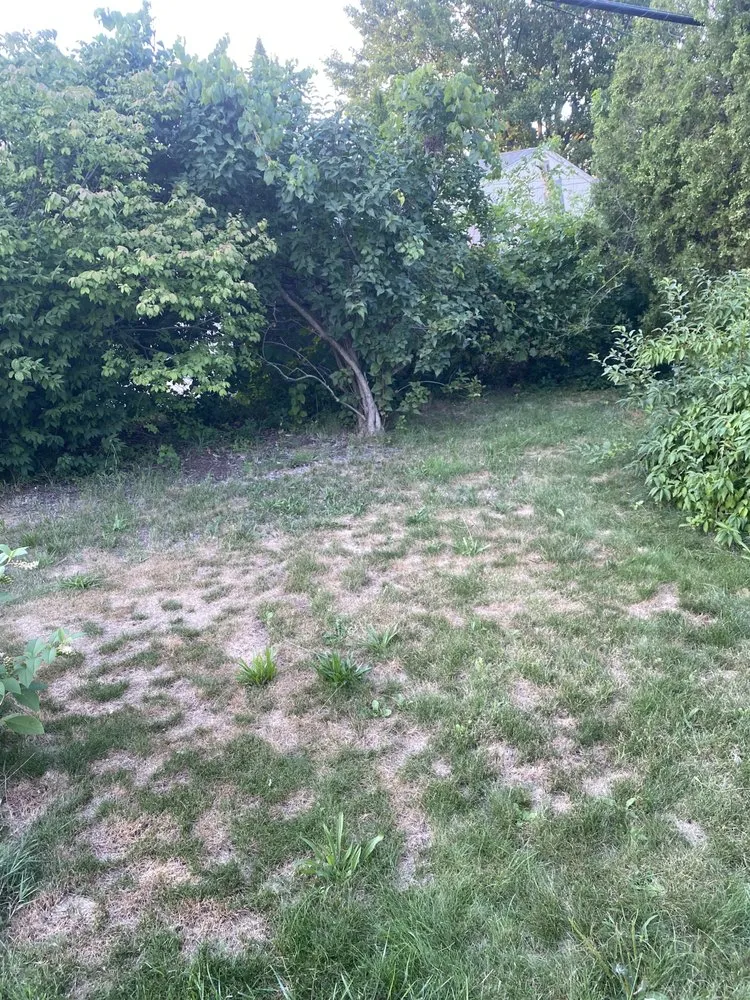 Top-rated residential landscaping in Madison Heights, MI - Neffie Services