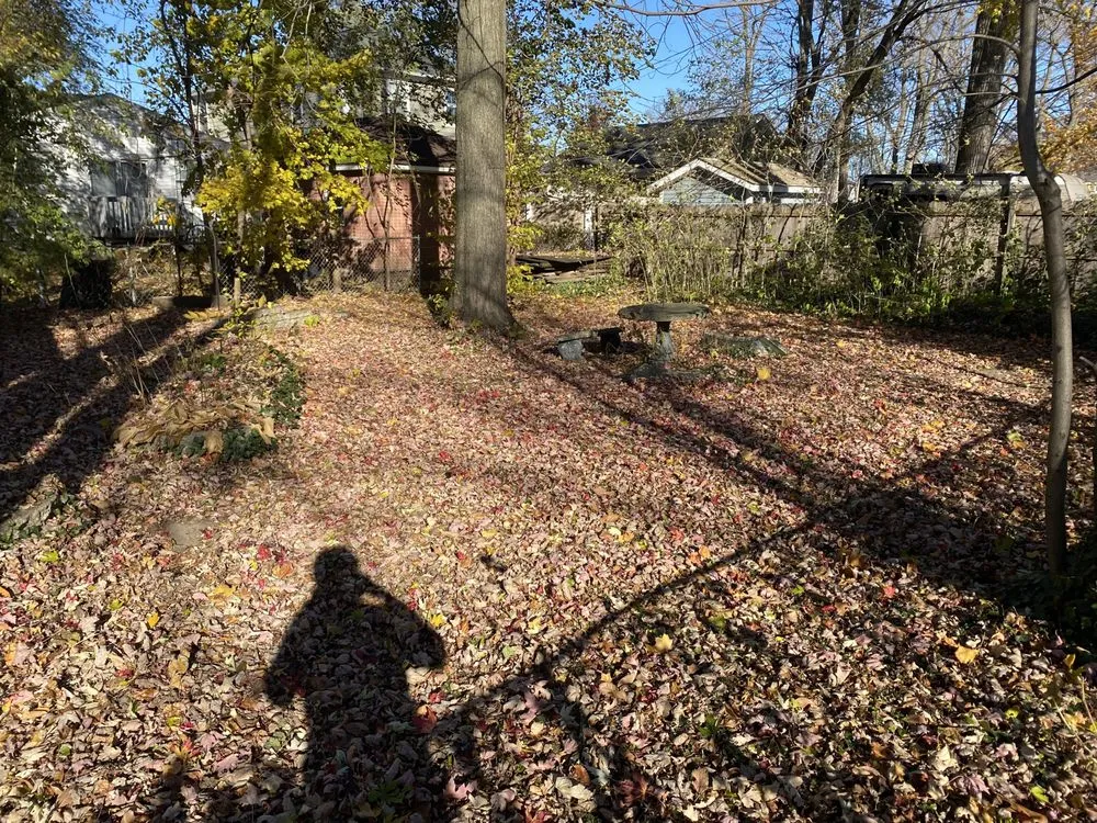 Custom lawn mowing service in Madison Heights, MI - Neffie Services