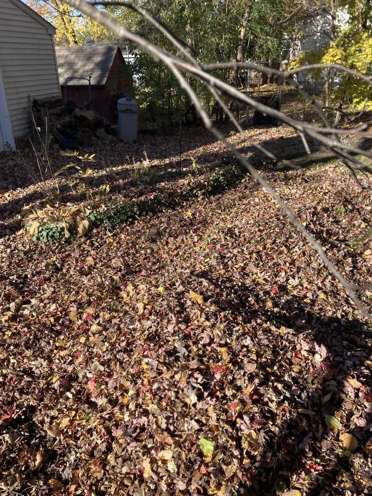 Professional outdoor landscaping with custom design in Madison Heights, MI by Neffie Services