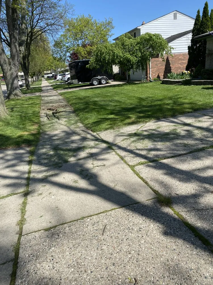 Top-rated residential landscaping for residential properties across Madison Heights, MI - Neffie Services