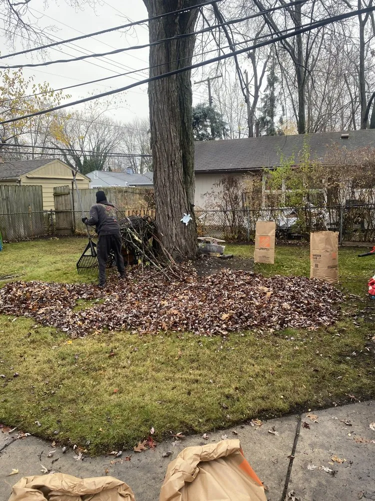 Trusted landscape installation in Madison Heights, MI - Neffie Services