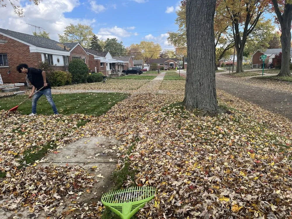 Trusted landscape design in Madison Heights, MI by Neffie Services