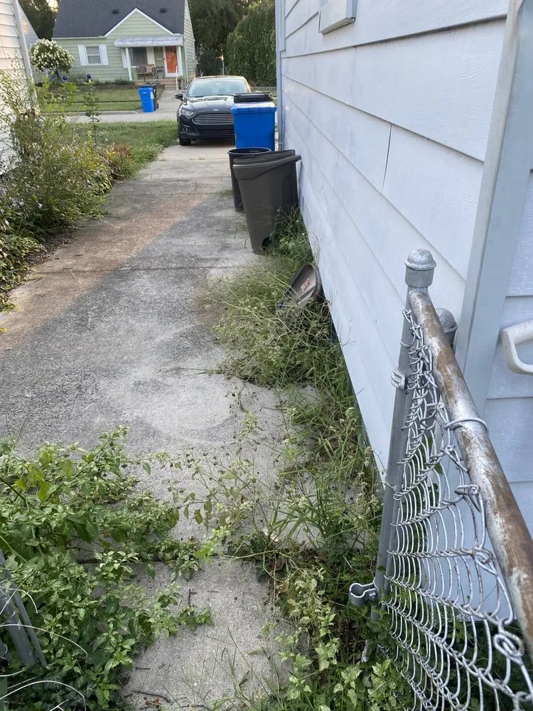 Professional outdoor landscaping in Madison Heights, MI by Neffie Services