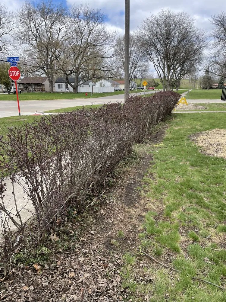 Expert landscaping services in Taylor, MI by Neff's Lawn Care Service