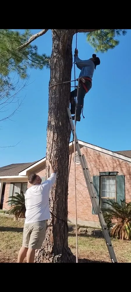 Top-rated yard cleanup service in Houston, TX - Neftali Ochoa Landscaping