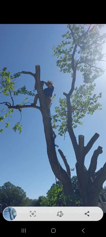 Affordable yard cleanup service experts serving Houston, TX - Neftali Ochoa Landscaping