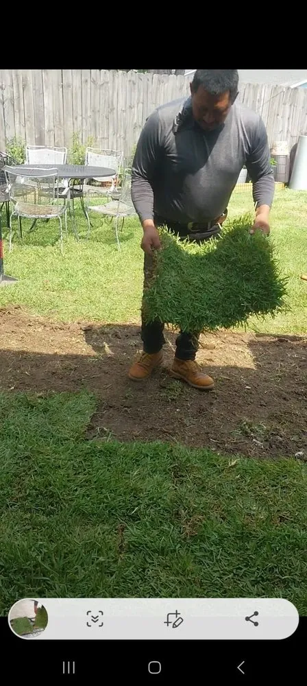 Local lawn care service in Houston, TX by Neftali Ochoa Landscaping