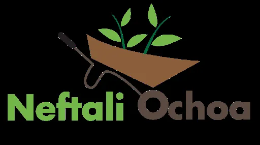 Expert outdoor landscaping for outdoor upgrades in Houston, TX by Neftali Ochoa Landscaping