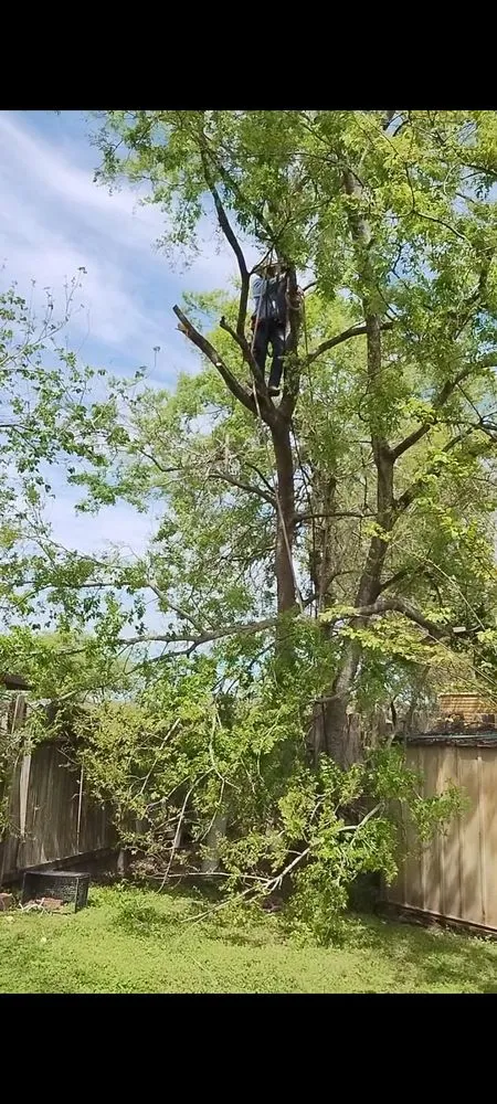 Professional lawn mowing service experts serving Houston, TX - Neftali Ochoa Landscaping