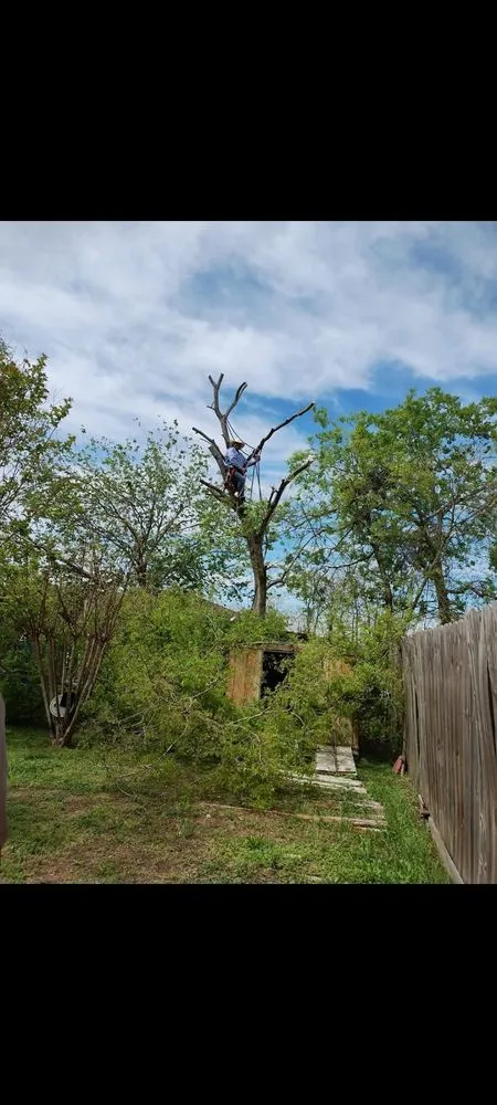 Trusted residential landscaping for homes in Houston, TX by Neftali Ochoa Landscaping