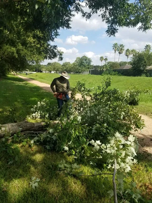 Custom landscape design in Houston, TX - Neftali Ochoa Landscaping