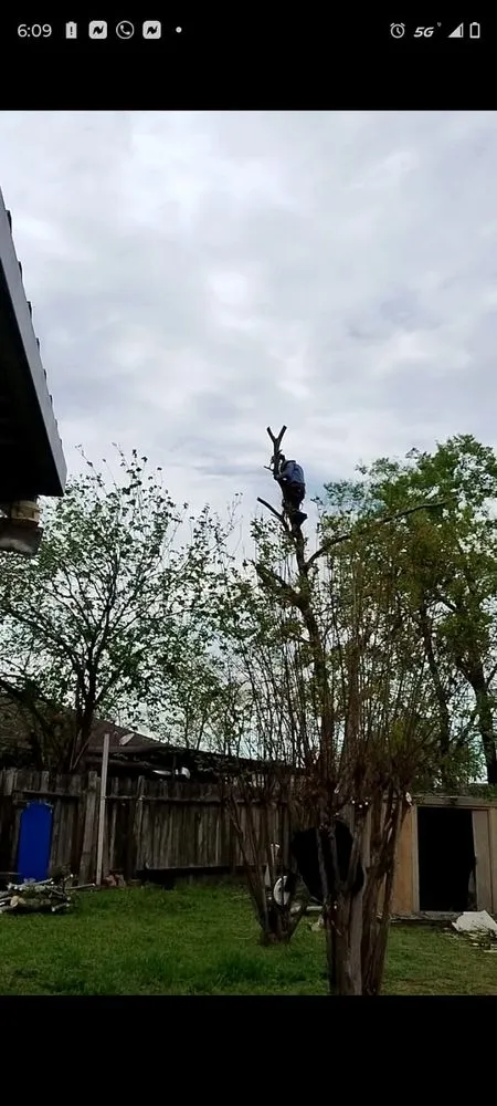 Professional yard maintenance in Houston, TX by Neftali Ochoa Landscaping