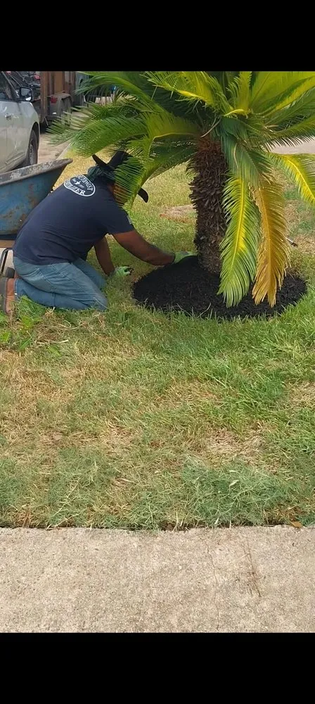 Affordable yard cleanup service for year-round maintenance across Houston, TX - Neftali Ochoa Landscaping