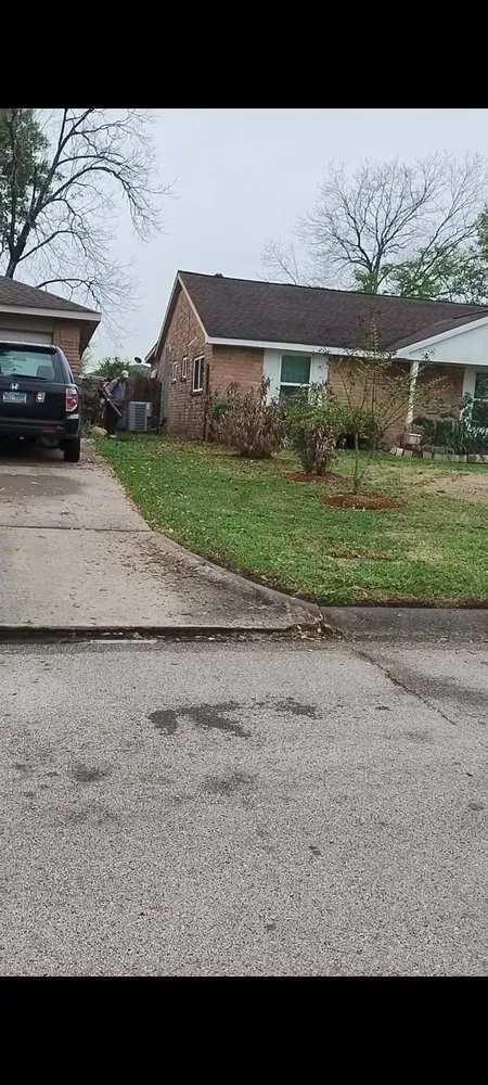 Top-rated yard maintenance with custom design in Houston, TX by Neftali Ochoa Landscaping