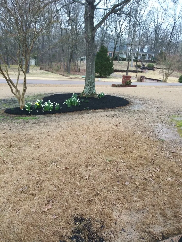 Reliable yard maintenance in Memphis, TN - Neftali's Landscaping