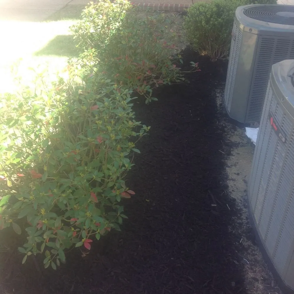 Local garden landscaping for beautiful yards in Memphis, TN by Neftali's Landscaping