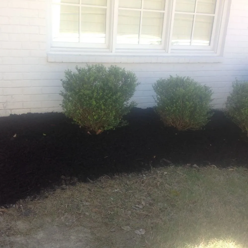 Reliable yard cleanup service for year-round maintenance in Memphis, TN by Neftali's Landscaping