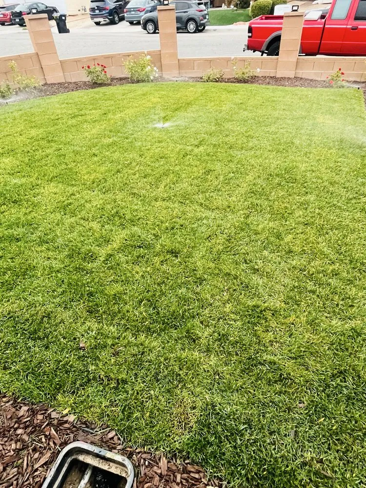 Custom yard maintenance experts serving Las Vegas, NV - Neftaly Maintenance