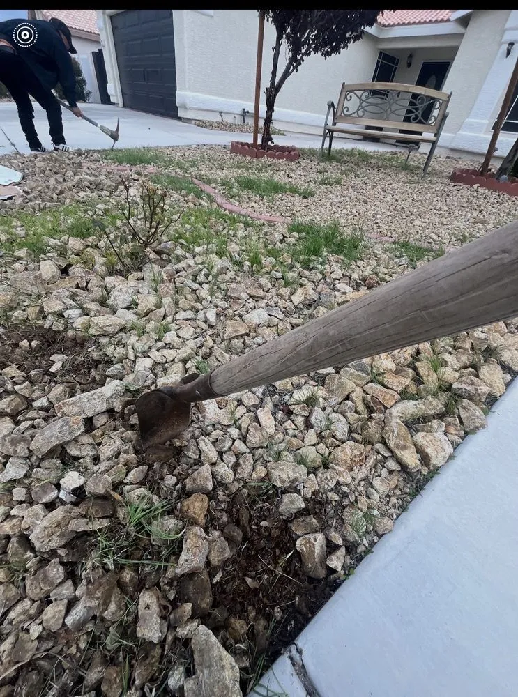 Affordable yard maintenance experts serving Las Vegas, NV - Neftaly Maintenance
