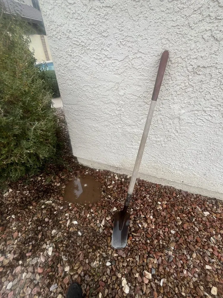 Expert yard cleanup service for homes in Las Vegas, NV by Neftaly Maintenance