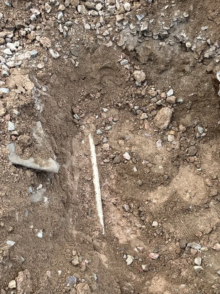 Expert landscape design experts serving Las Vegas, NV - Neftaly Maintenance