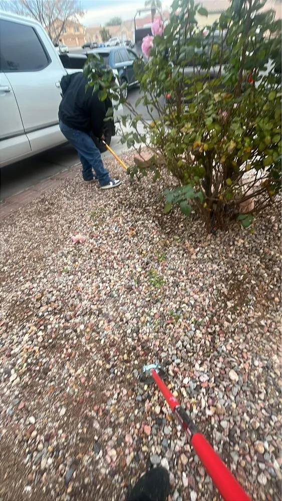 Local landscape design experts serving Las Vegas, NV - Neftaly Maintenance