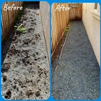 Expert landscaping services in Las Vegas, NV by Neftaly Maintenance