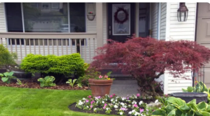 Reliable yard maintenance in Winter Haven, FL - Neg Mon Lawn Care