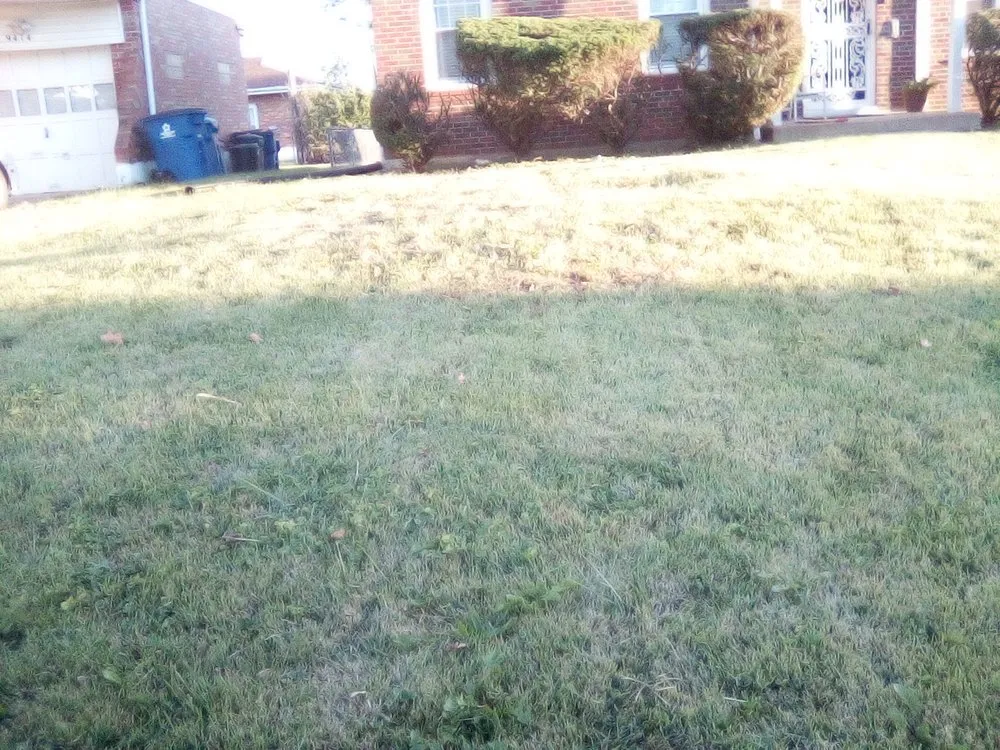 Top-rated outdoor landscaping for homes in St. Louis, MO by Negotiable Services