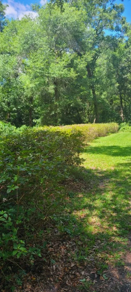 Affordable landscape installation for residential properties in Live Oak, FL by Negrete company