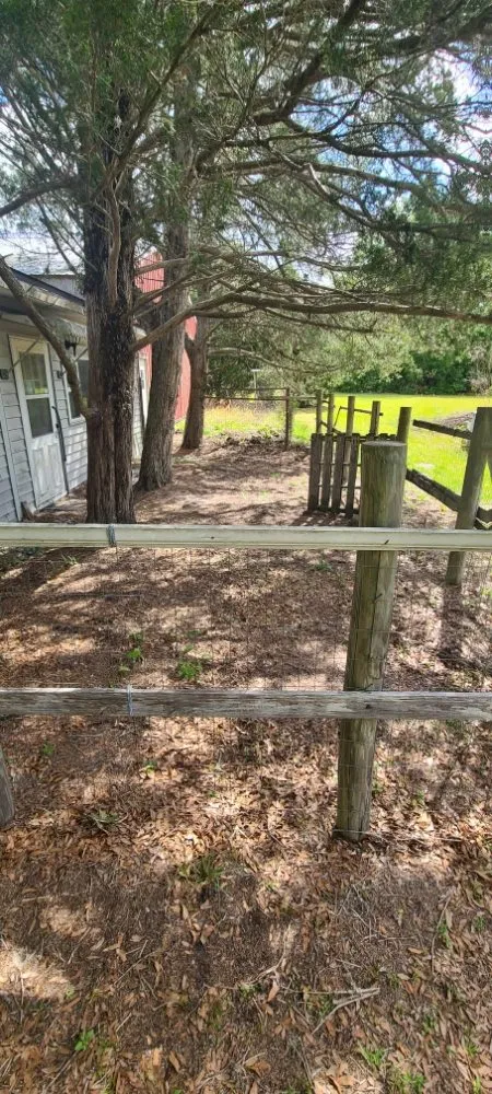 Top-rated yard maintenance in Live Oak, FL by Negrete company