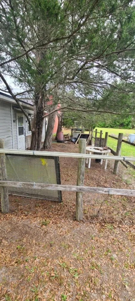 Reliable yard cleanup service for outdoor upgrades in Live Oak, FL by Negrete company