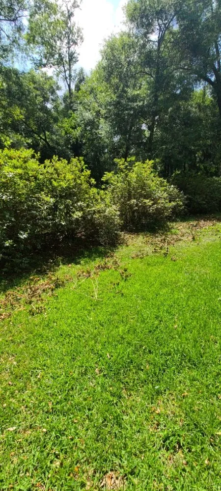 Top-rated landscape design for homes in Live Oak, FL by Negrete company