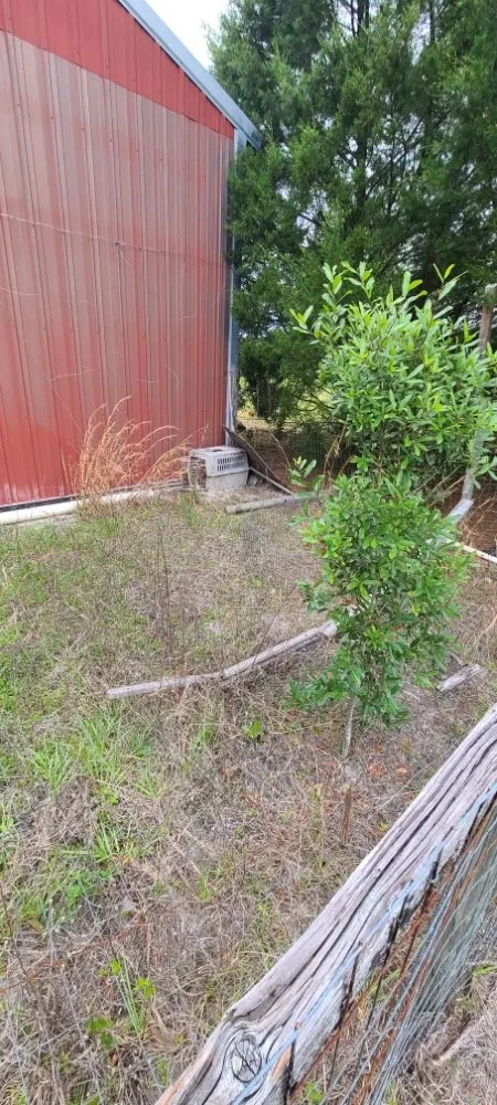 Top-rated yard maintenance in Live Oak, FL by Negrete company