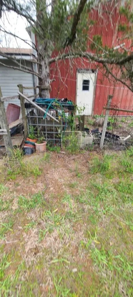 Local yard maintenance in Live Oak, FL - Negrete company