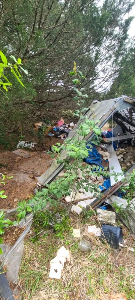 Trusted lawn mowing service experts serving Live Oak, FL - Negrete company