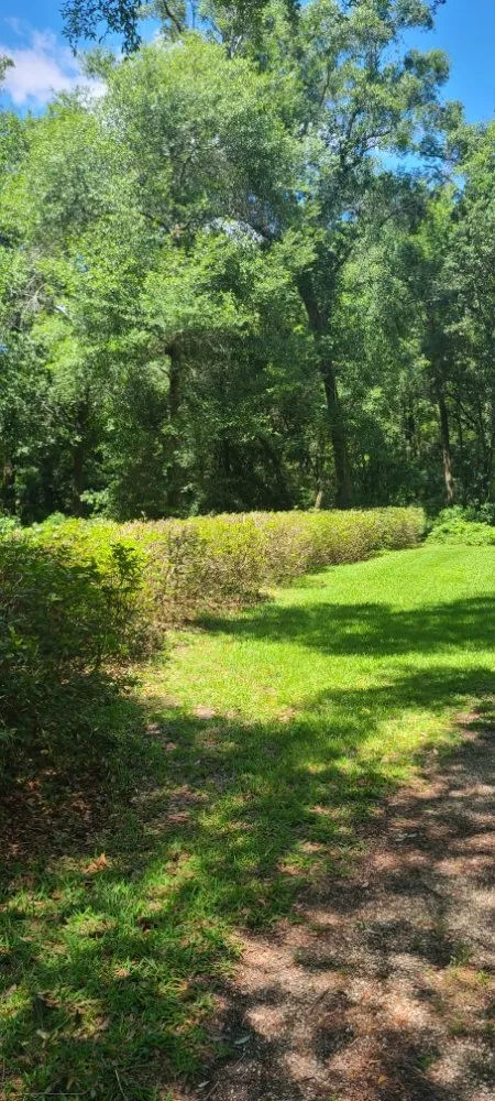 Local garden landscaping in Live Oak, FL by Negrete company