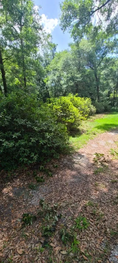 Expert garden landscaping experts serving Live Oak, FL - Negrete company