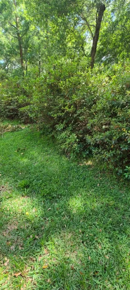 Local yard maintenance near you in Live Oak, FL by Negrete company