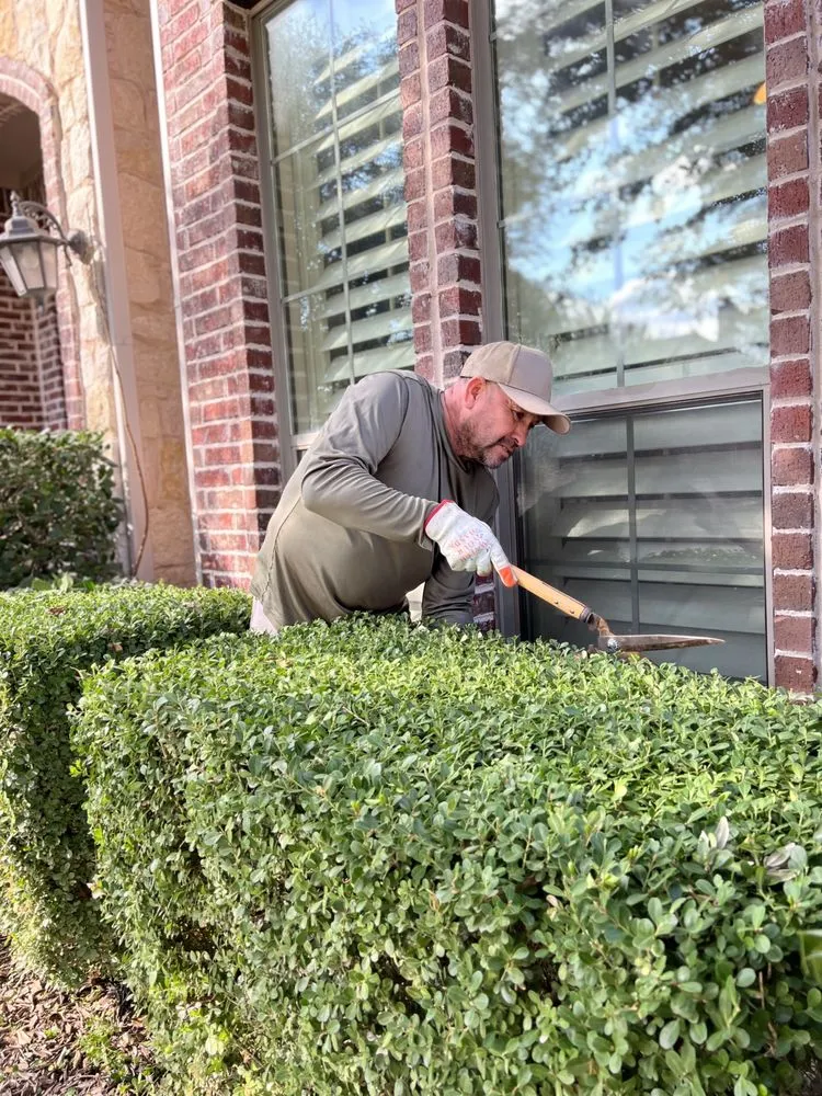 Professional landscaping services near you across Dallas, TX - Negrete's Landscaping