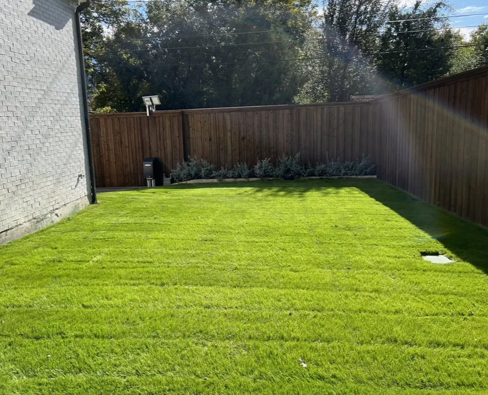 Professional landscaping services near you across Dallas, TX - Negrete's Landscaping