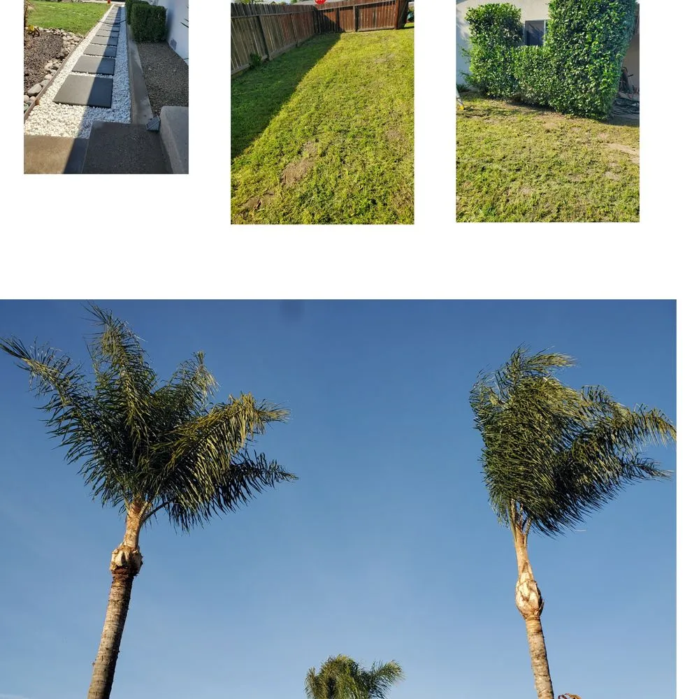 Professional yard maintenance in Hughson, CA by Negrete's Lawn Care & Landscaping