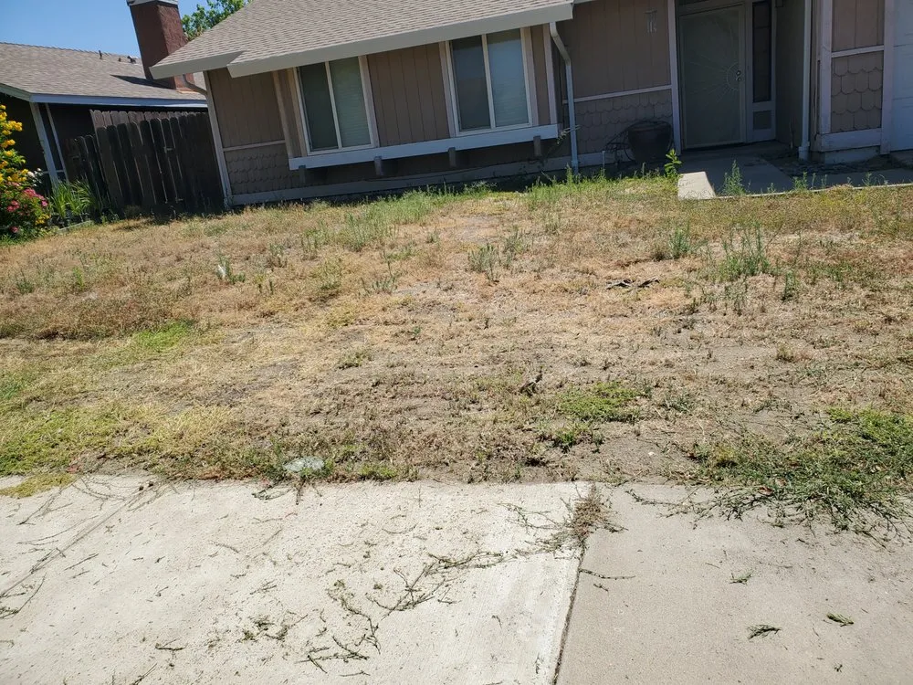 Affordable landscaping services for beautiful yards across Hughson, CA - Negrete's Lawn Care & Landscaping