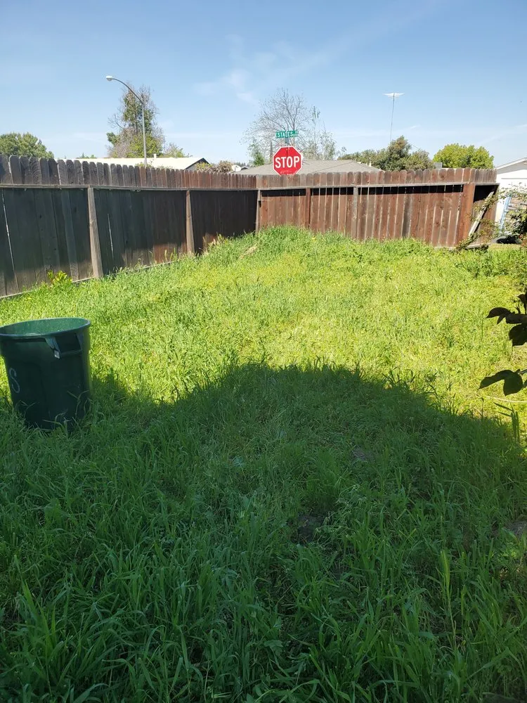 Reliable yard cleanup service in Hughson, CA by Negrete's Lawn Care & Landscaping