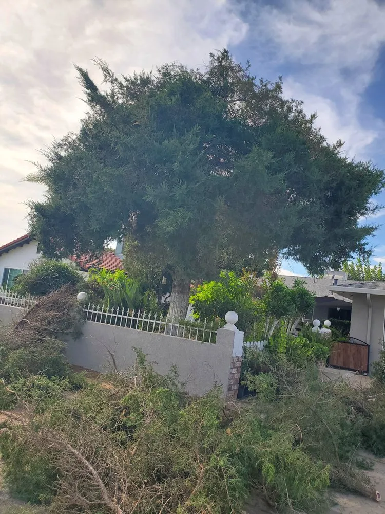 Affordable garden landscaping for outdoor upgrades across Hughson, CA - Negrete's Lawn Care & Landscaping