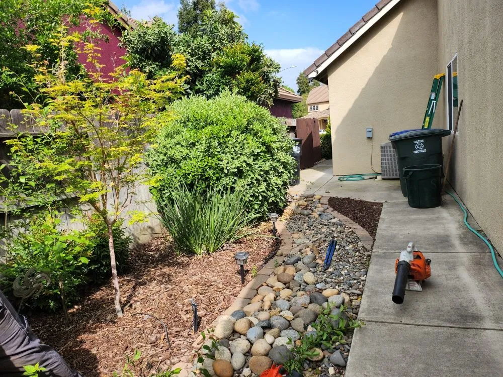 Top-rated residential landscaping experts serving Hughson, CA - Negrete's Lawn Care & Landscaping