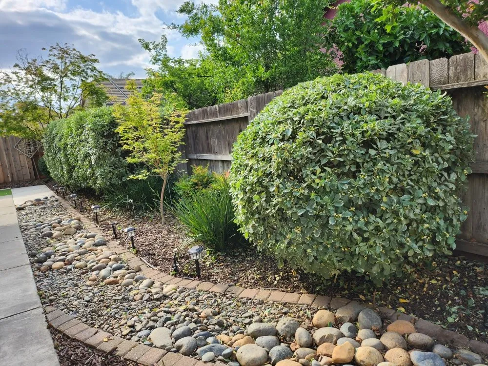 Custom yard maintenance experts serving Hughson, CA - Negrete's Lawn Care & Landscaping