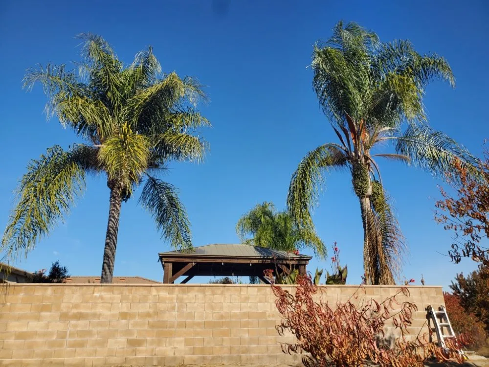 Reliable lawn mowing service in Hughson, CA - Negrete's Lawn Care & Landscaping